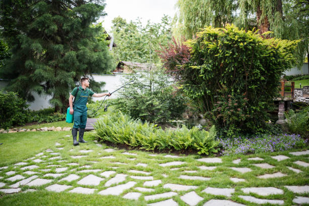 Best Bird Control  in Cedar Springs, MI