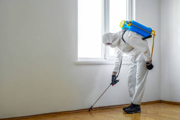 Best Insect Control  in Cedar Springs, MI