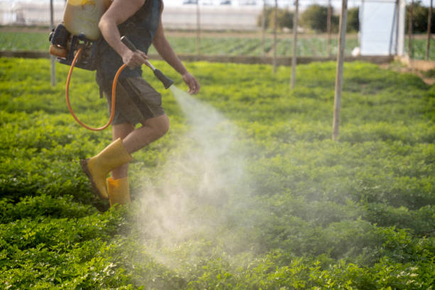 Best Residential Pest Control  in Cedar Springs, MI