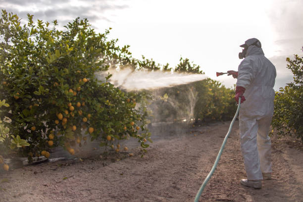 Best Termite Control Services  in Cedar Springs, MI