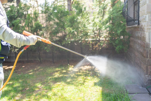 Best Best Pest Control Companies  in Cedar Springs, MI