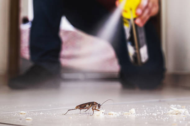  Cedar Springs, MI Pest Control Pros